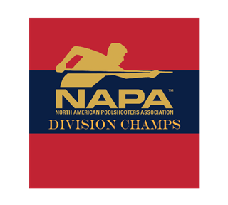 NAPA-DivisionChamps Sticker
