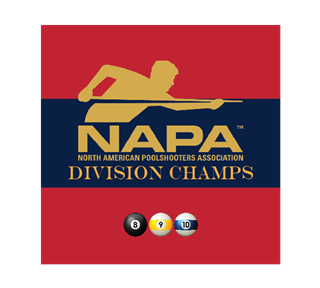NAPA-DivisionChamps8_9_10 Sticker