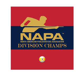 NAPA-DivisionChamps9 Sticker