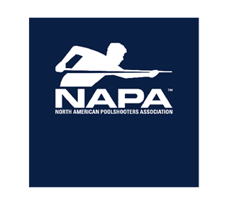 NAPA-Navy Sticker