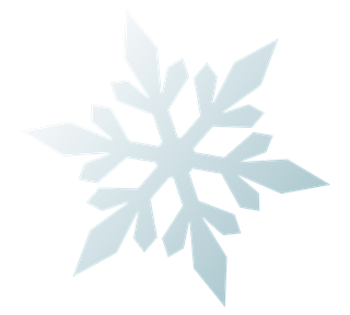 Snowflake Graphic Sticker