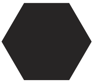 Hexagon Sticker