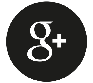 Google Solid Sticker