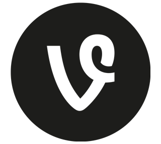 Vine Solid Sticker