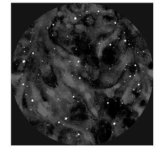 Moon And Stars Sticker