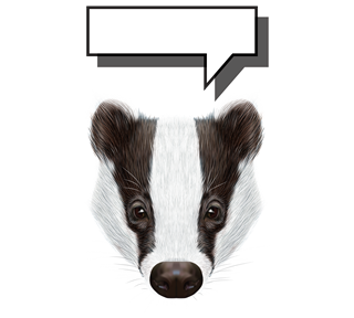 Badger Sticker