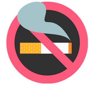 No Smoking Sticker