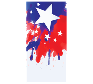 Texas Stars Sticker