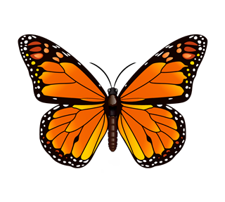 Orange Butterfly 2 Sticker