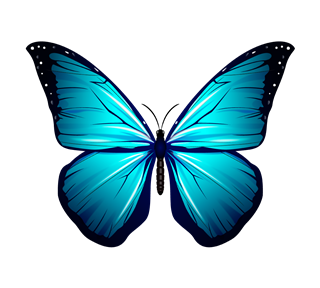 Blue Butterfly Sticker