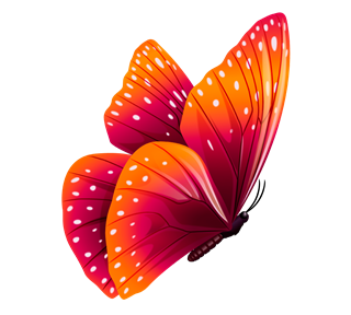 Orange and Pink Butterfly Sticker