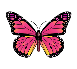 Pink Butterfly Sticker