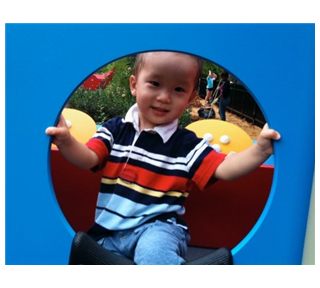 ZebbyClimbing2.jpg Sticker