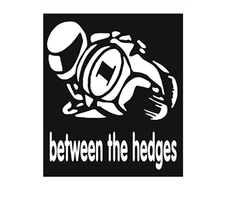 BETWEEN THE HEDGES.jpg Sticker