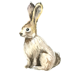 Rabbit Sticker