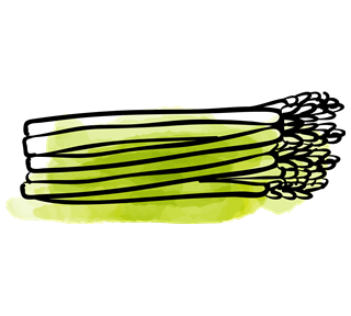 Asparagus Sticker