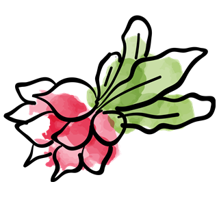 Beets Sticker