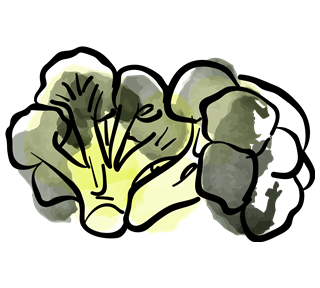 Brocolli Sticker