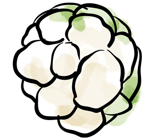 Cauliflower Sticker