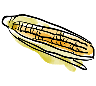 Corn Sticker