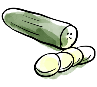 Cucumber Sticker