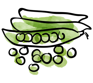 Peas Sticker