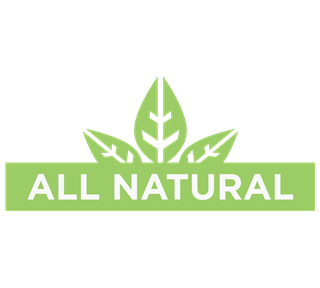 Health Food 4 Sticker