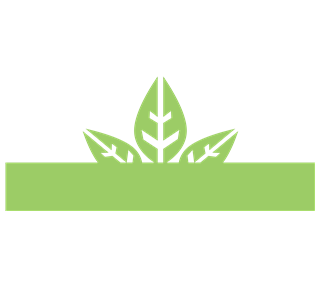 Health Food 5 Sticker