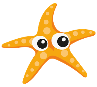 Cute Starfish Sticker