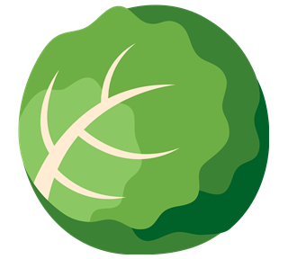 Lettuce  Sticker