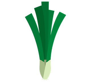 Spring Onions Sticker
