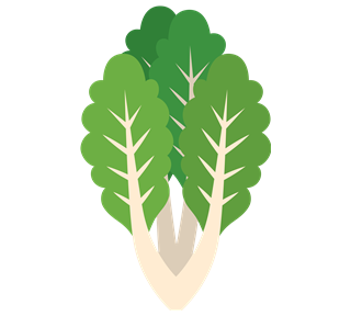 Lettuce Leafs Sticker