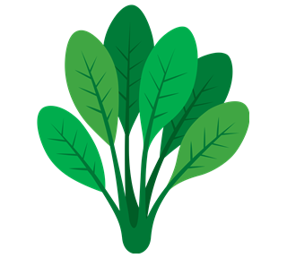Lettuce Leafs 2 Sticker