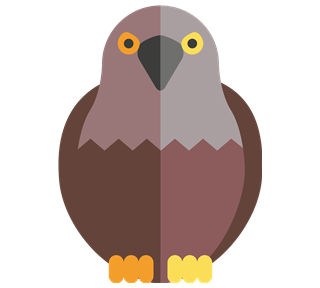 Pigeon Eagle Bird Sticker