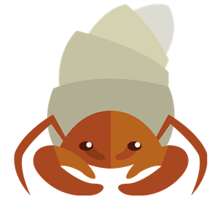 Hermit Crab Sticker