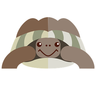 Turtle Sticker