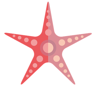 Starfish Sticker