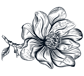 Ink Line Flower and Stem Sticker