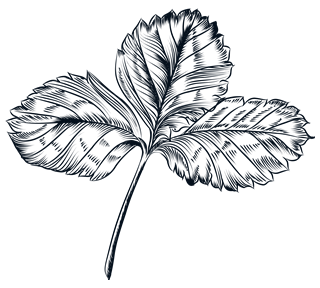 Line Flowers 9 Sticker