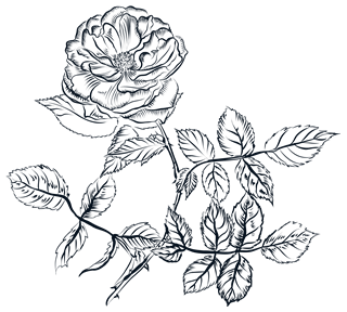 Ink Line Flower Branch Sticker