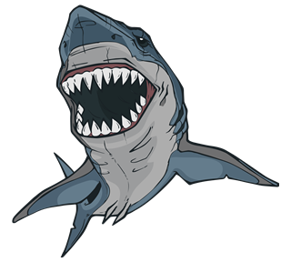 Shark 1 Sticker