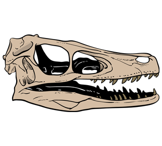 Raptor Dinosaur Skull Sticker