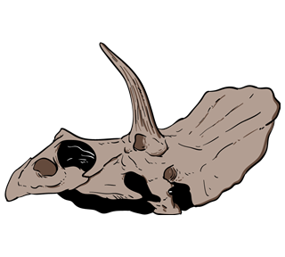 Triceratops Dinosaur Skull Sticker
