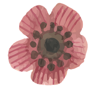 Watercolor Poppy Flower Sticker