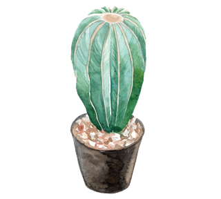 Cactus 2 Sticker