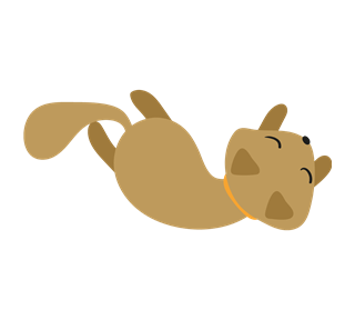 Rolling Cat Sticker