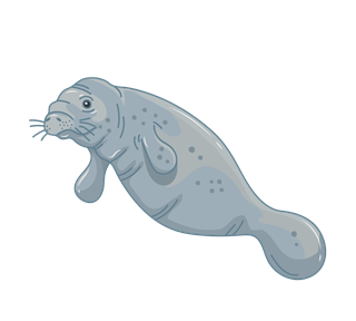 manatee 3 Sticker