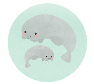 Manatees Sticker