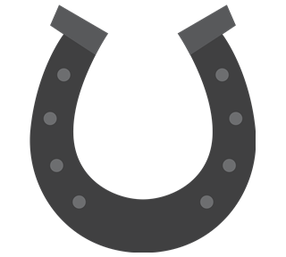 Texas Horseshoe Sticker