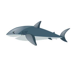 Shark 2 Sticker